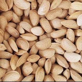 تصویر 4 از قیمت خرید بادام مامایی  با فروش عمده